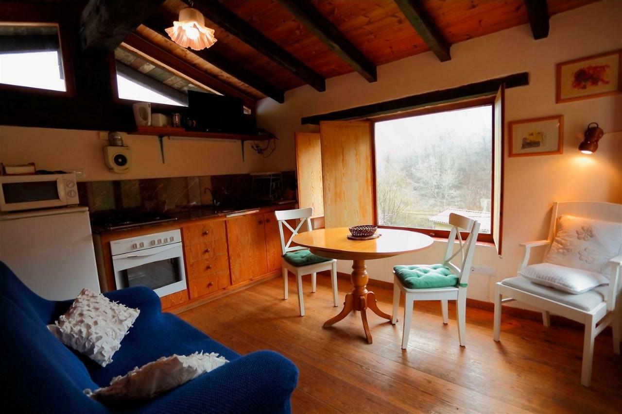 La Cabana Del Moli De La Plana Riudaura Εξωτερικό φωτογραφία