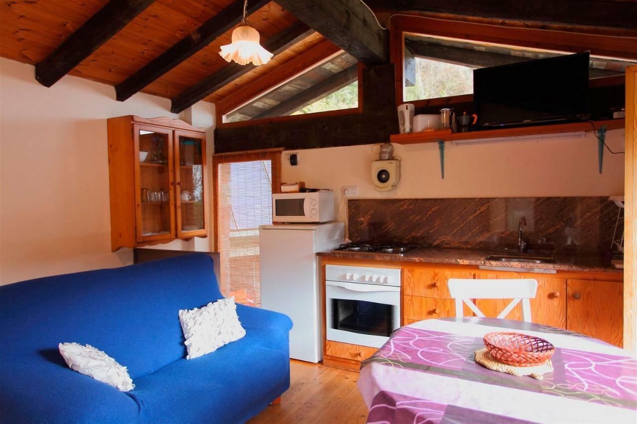 La Cabana Del Moli De La Plana Riudaura Εξωτερικό φωτογραφία