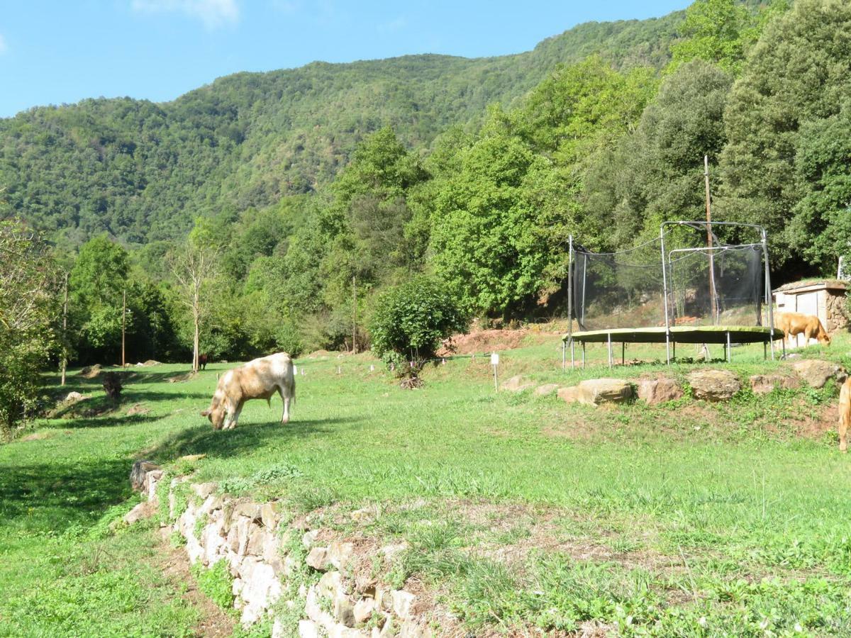 La Cabana Del Moli De La Plana Riudaura Εξωτερικό φωτογραφία